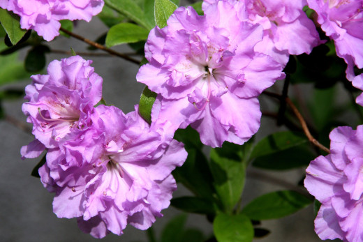 710797 (a): :2800x1867